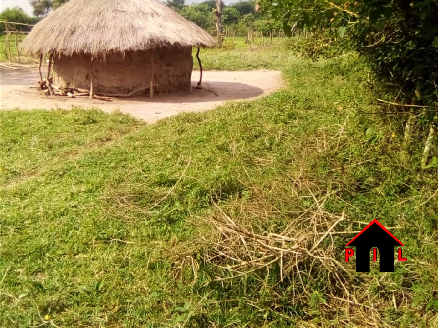 Agricultural Land for sale in Kasokwe Kayunga