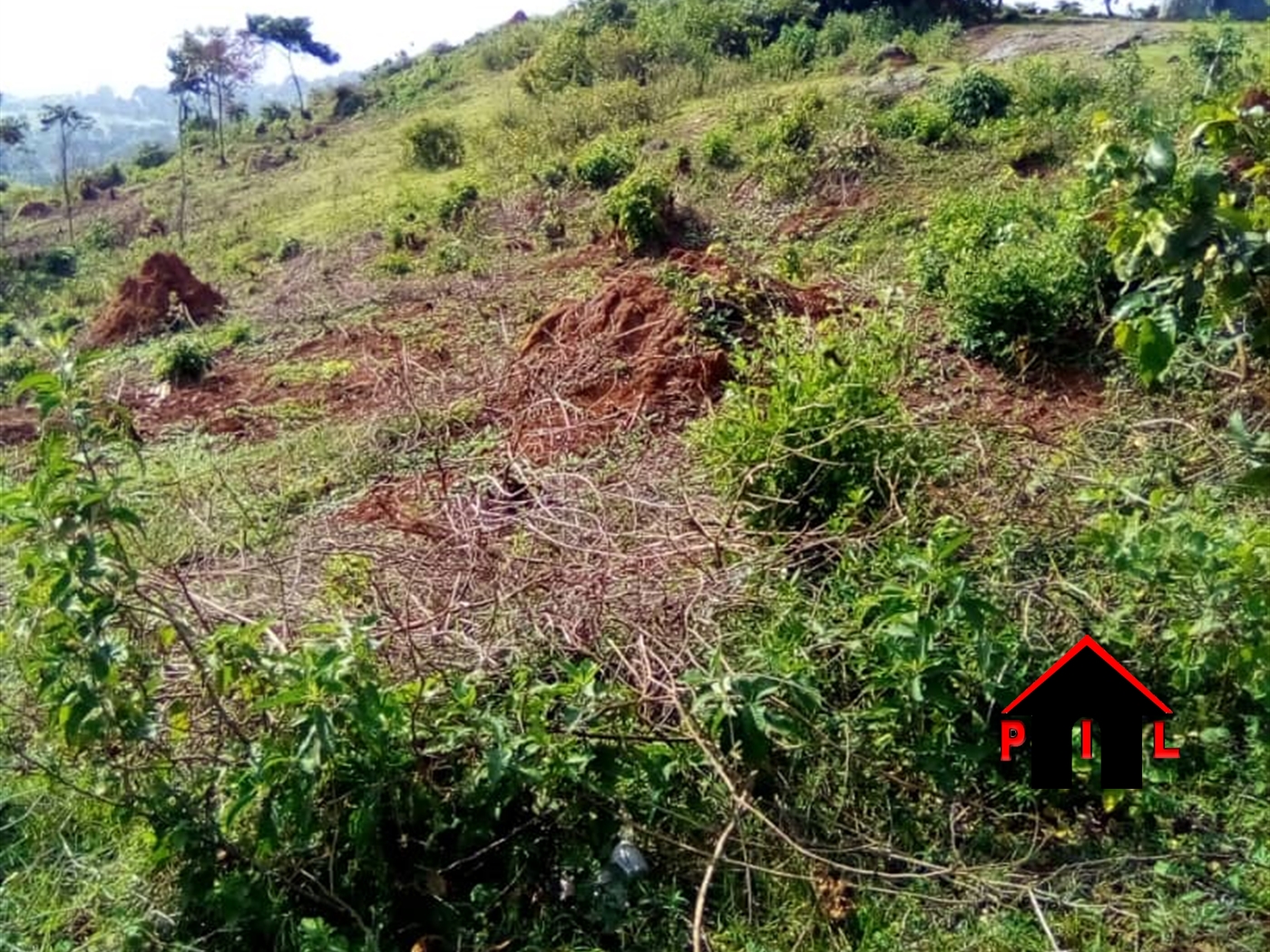 Agricultural Land for sale in Lukalu Jinja