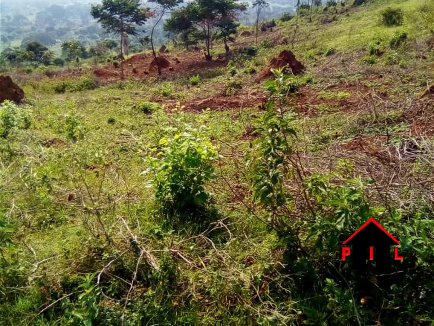 Agricultural Land for sale in Lukalu Jinja