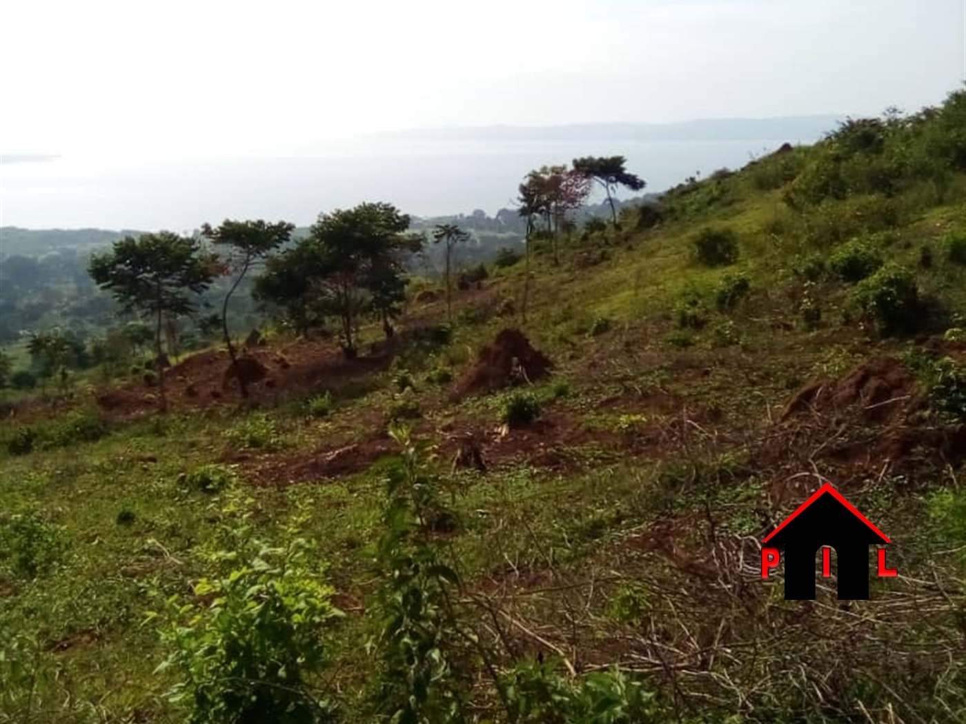 Agricultural Land for sale in Lukalu Jinja