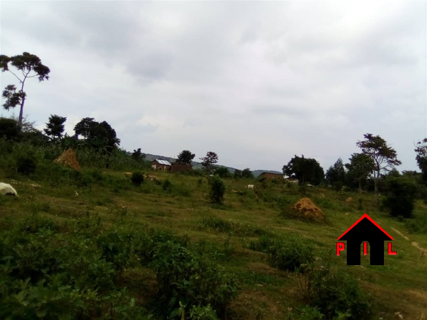 Agricultural Land for sale in Bubeebi Mukono