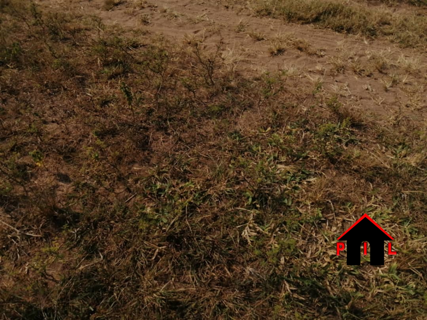 Agricultural Land for sale in Kayabwe Masaka