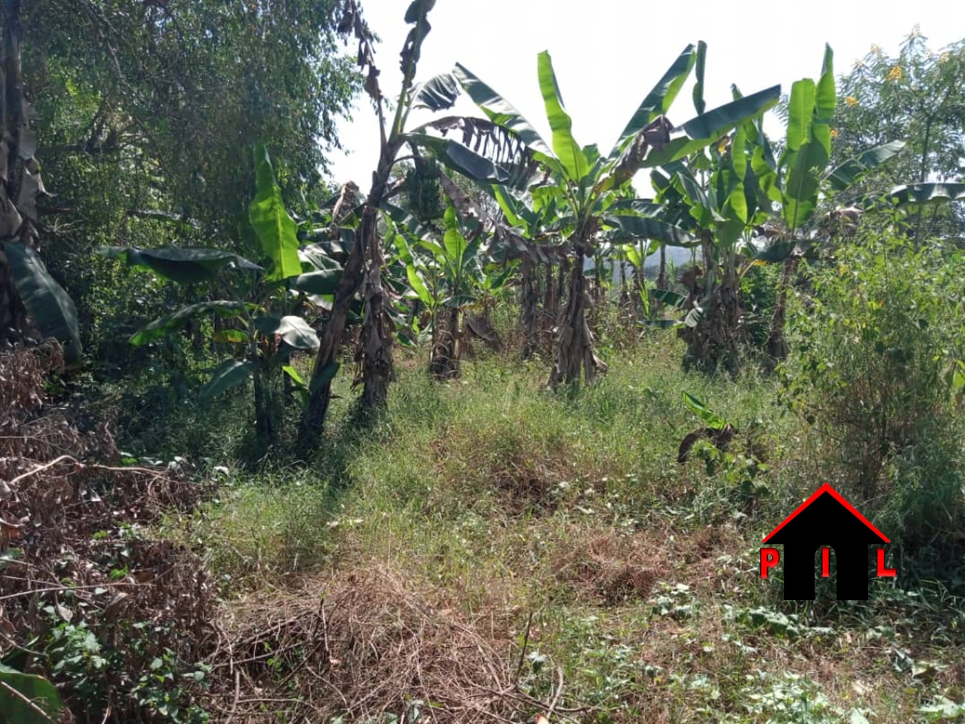 Residential Land for sale in Kalagi Mukono