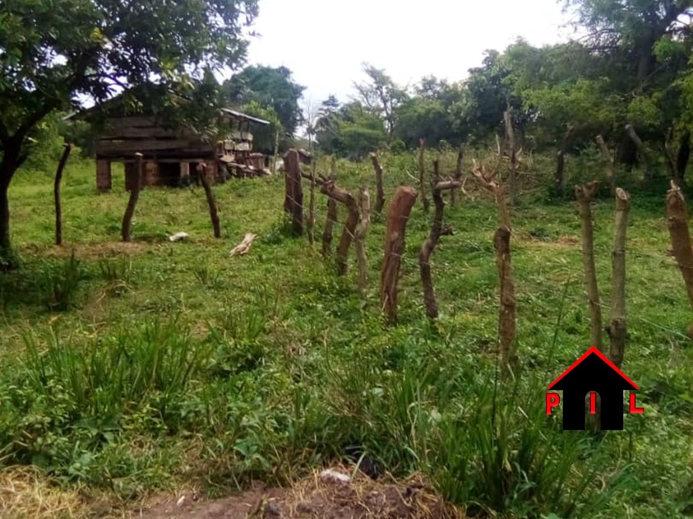 Agricultural Land for sale in Lukalu Mukono