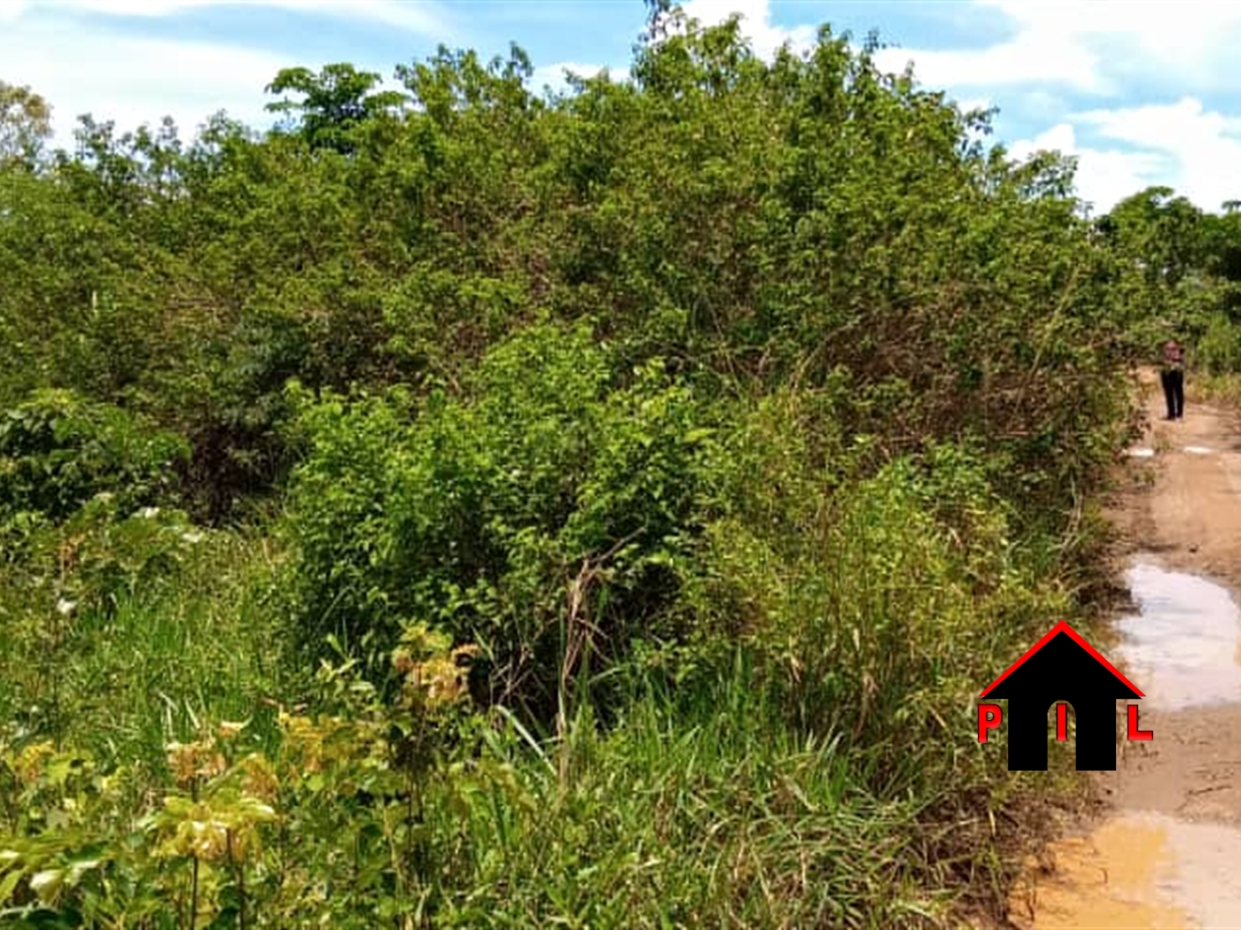 Agricultural Land for sale in Nabutaka Luweero