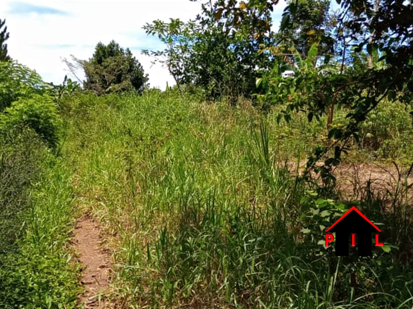 Agricultural Land for sale in Kamila Luweero