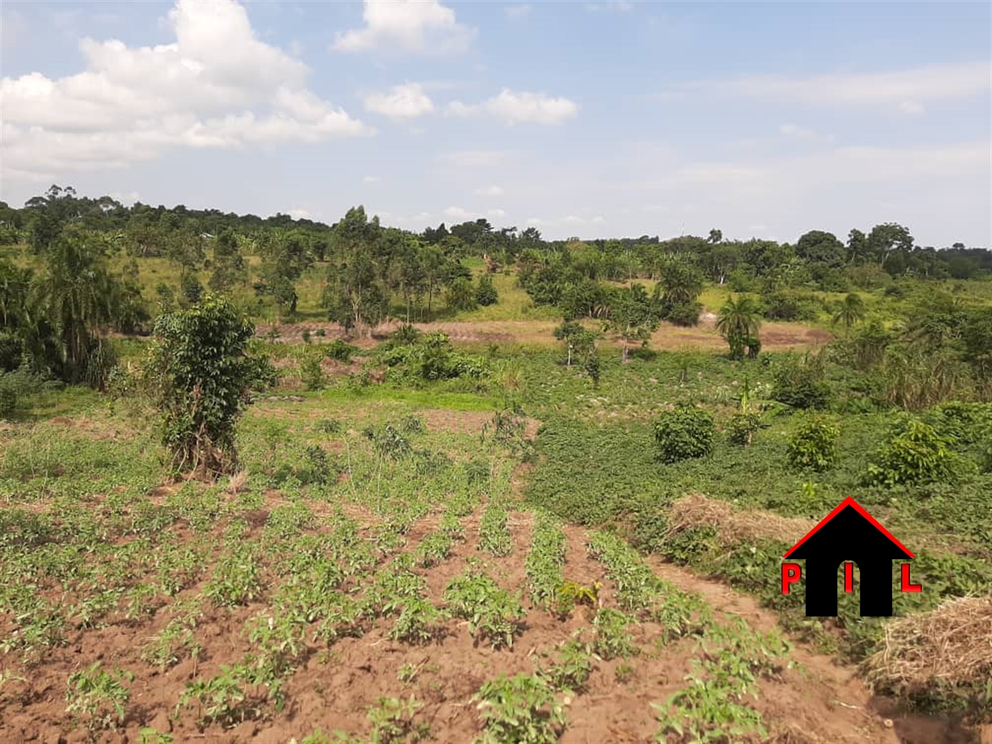 Agricultural Land for sale in Kamila Luweero