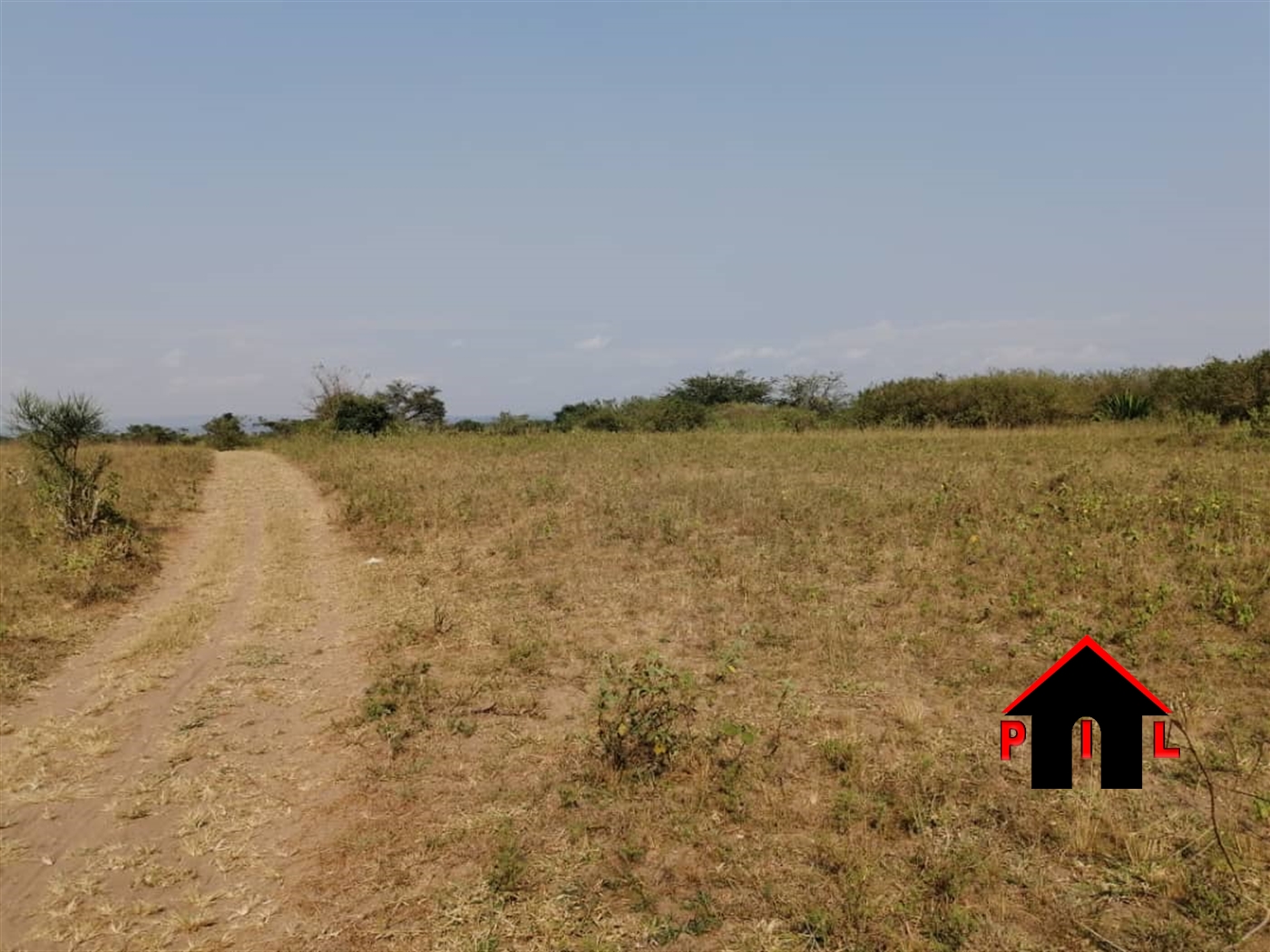 Agricultural Land for sale in Kayabwe Mpigi