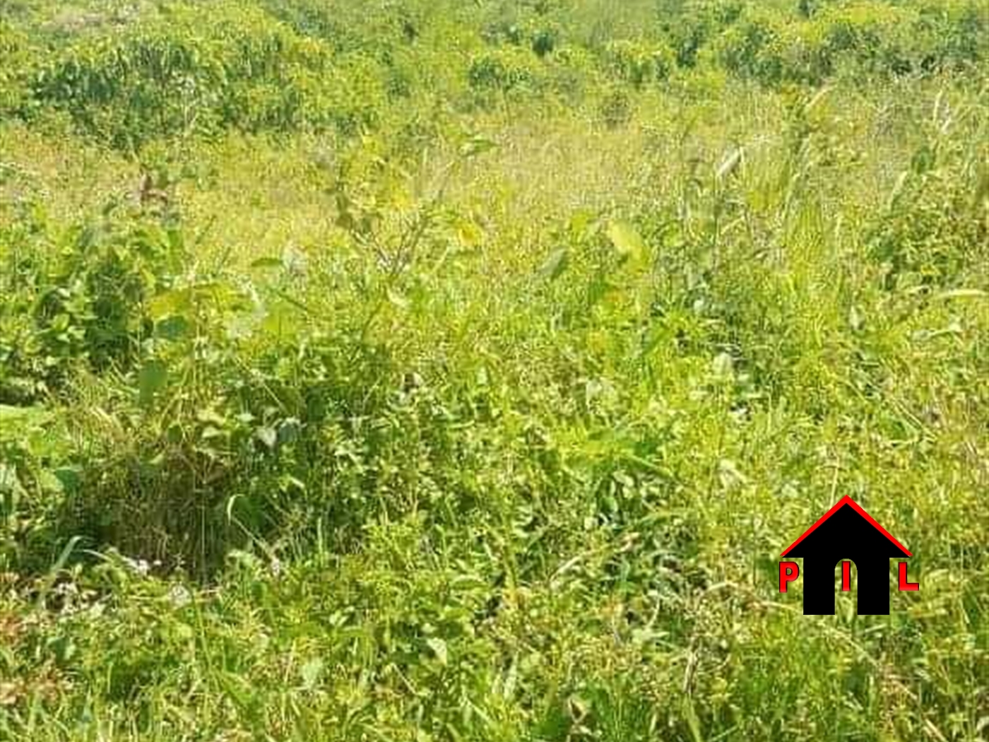 Multipurpose Land for sale in Nakawuka Kampala