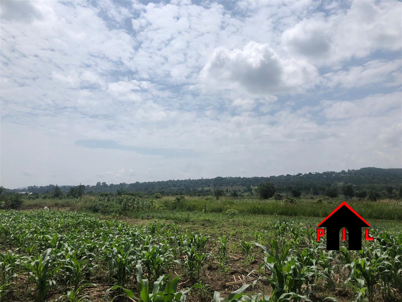 Agricultural Land for sale in Nsaggu Kampala