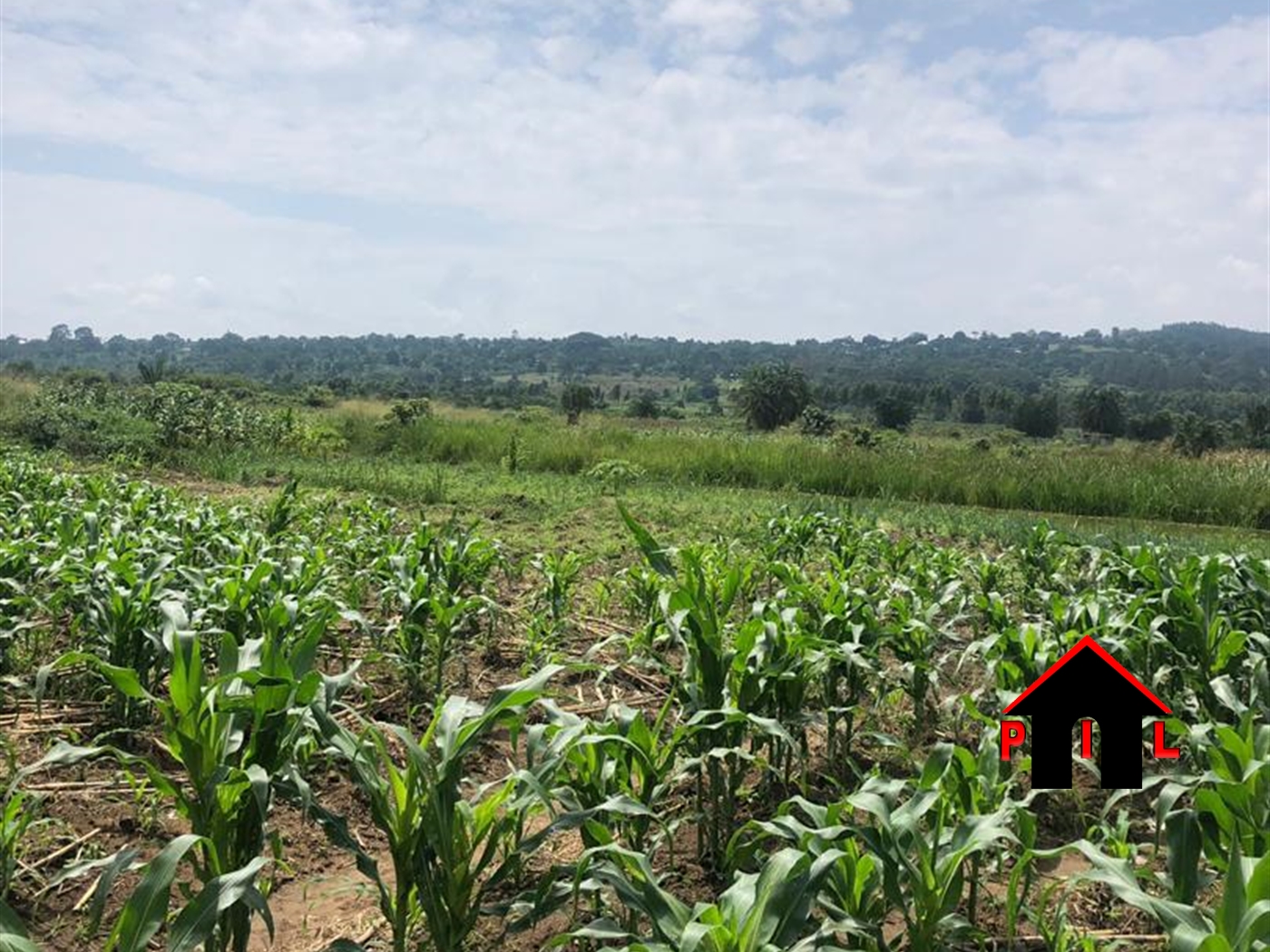 Agricultural Land for sale in Nsaggu Kampala