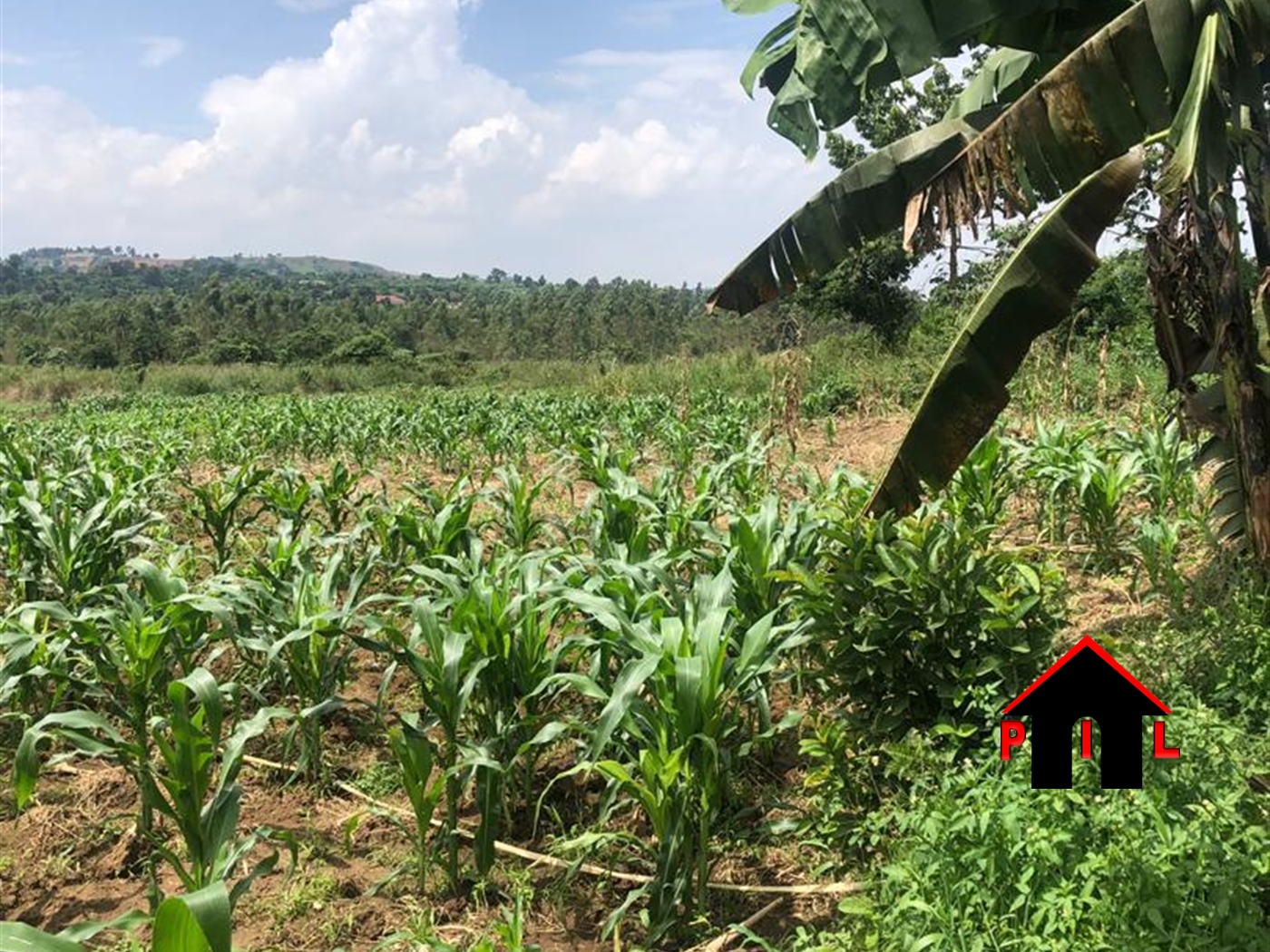 Agricultural Land for sale in Nsaggu Kampala