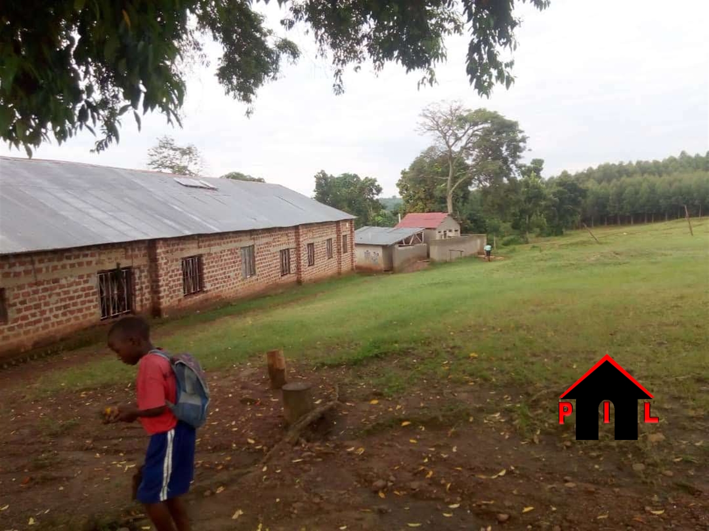 School for sale in Mityana Mityana