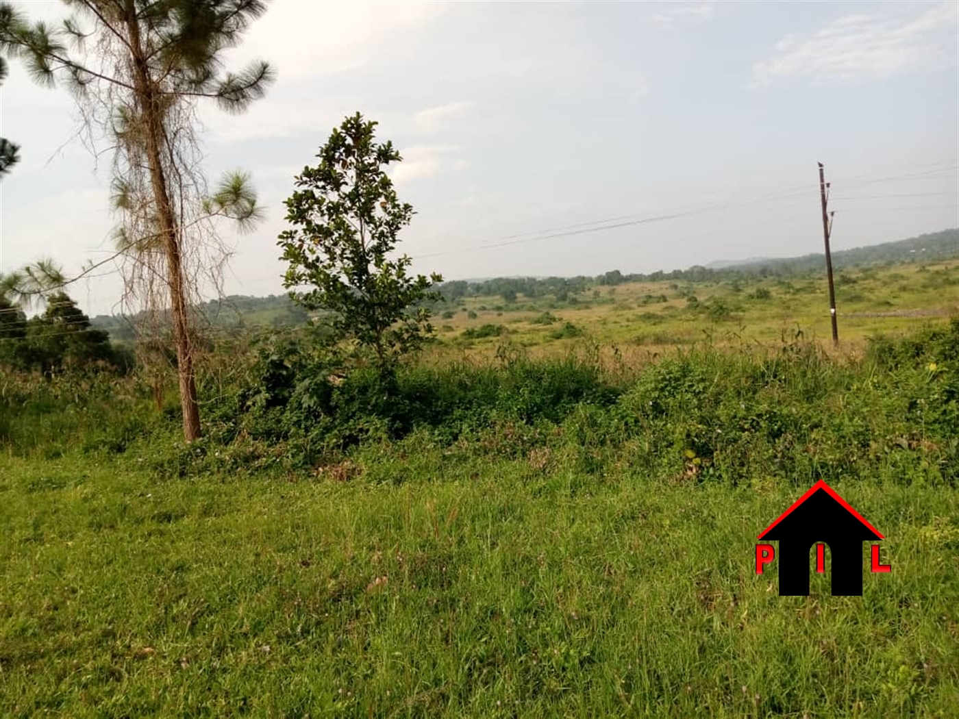 Agricultural Land for sale in Buwambo Wakiso