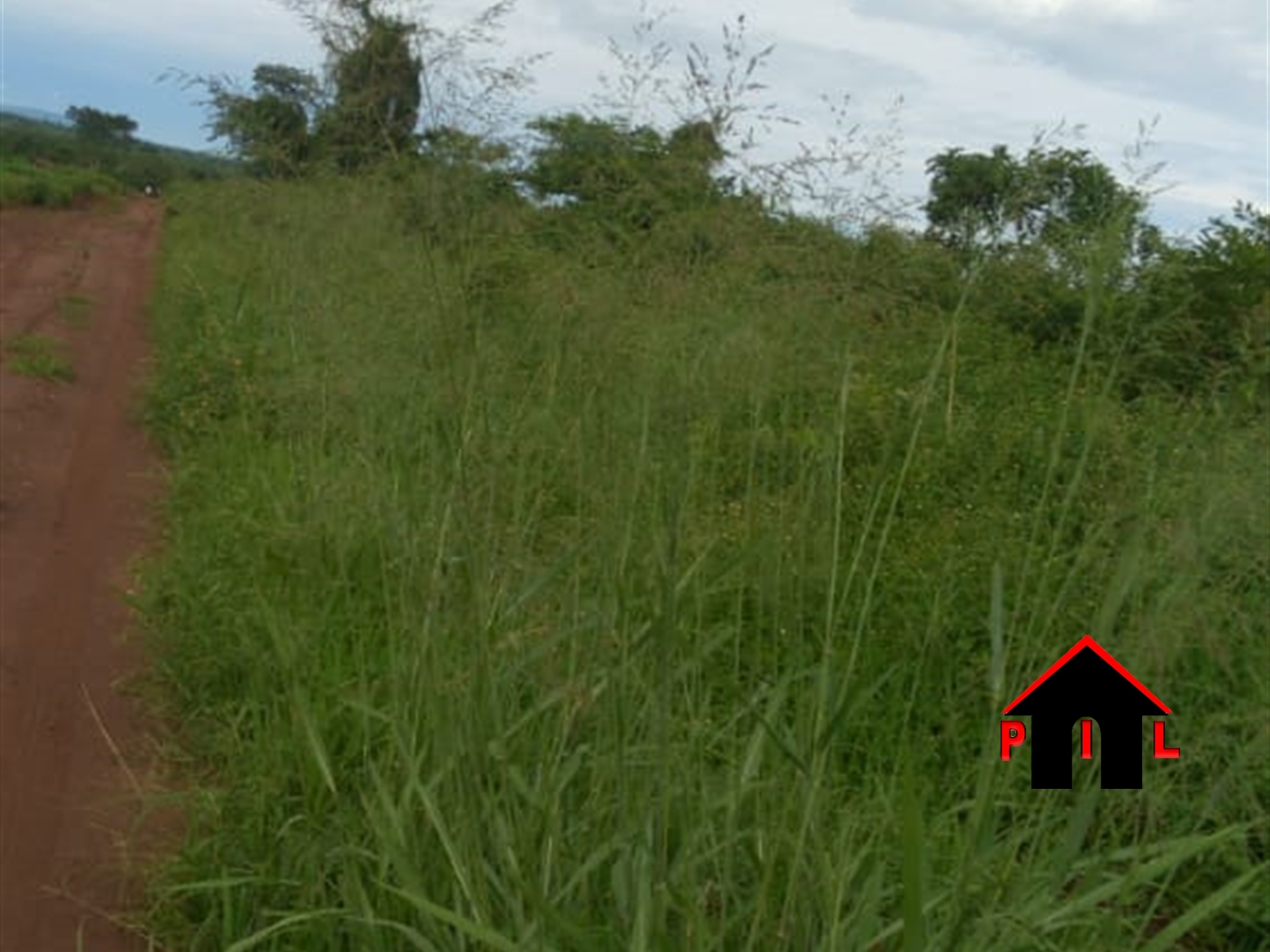 Agricultural Land for sale in Namirembe Nakaseke