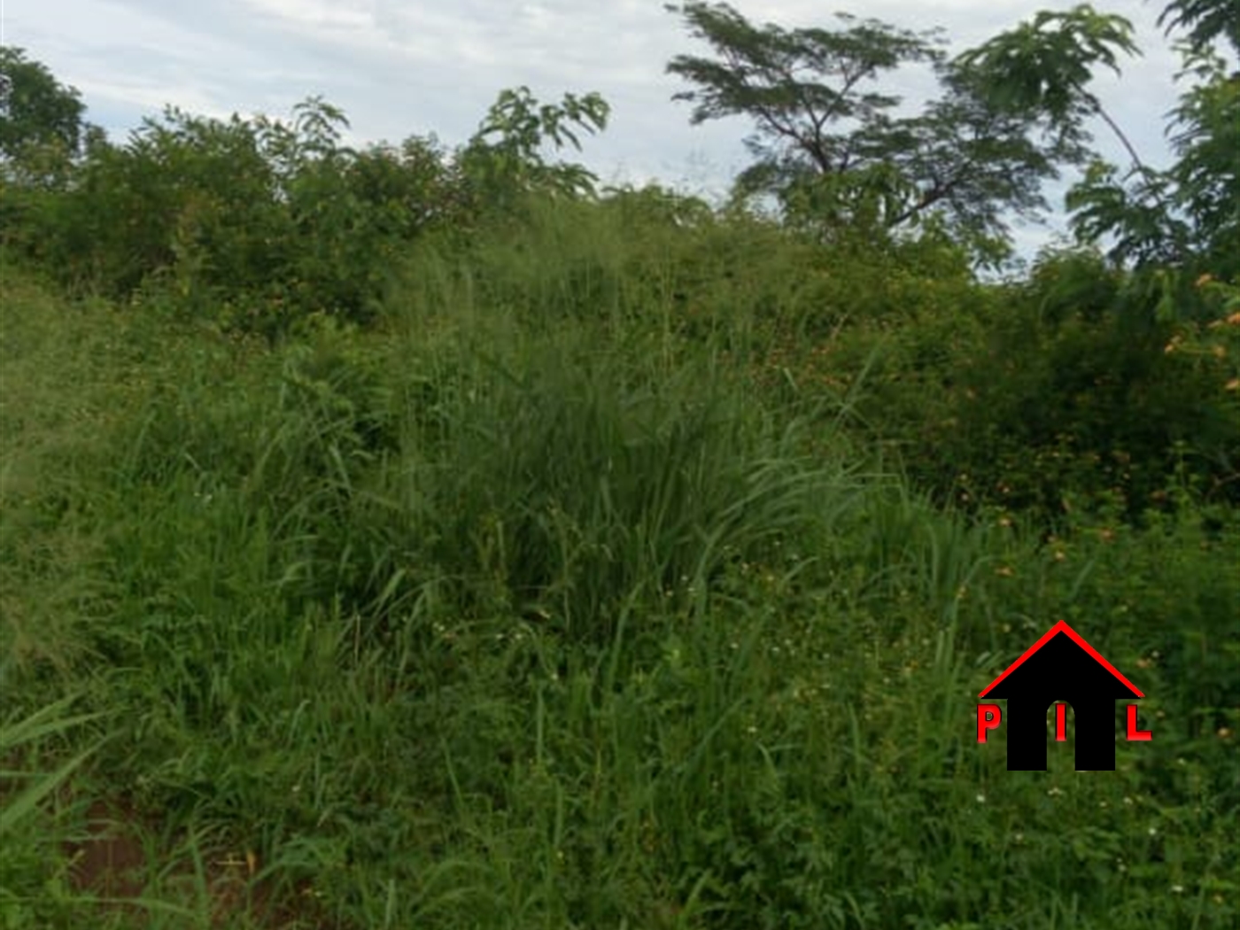 Agricultural Land for sale in Namirembe Nakaseke