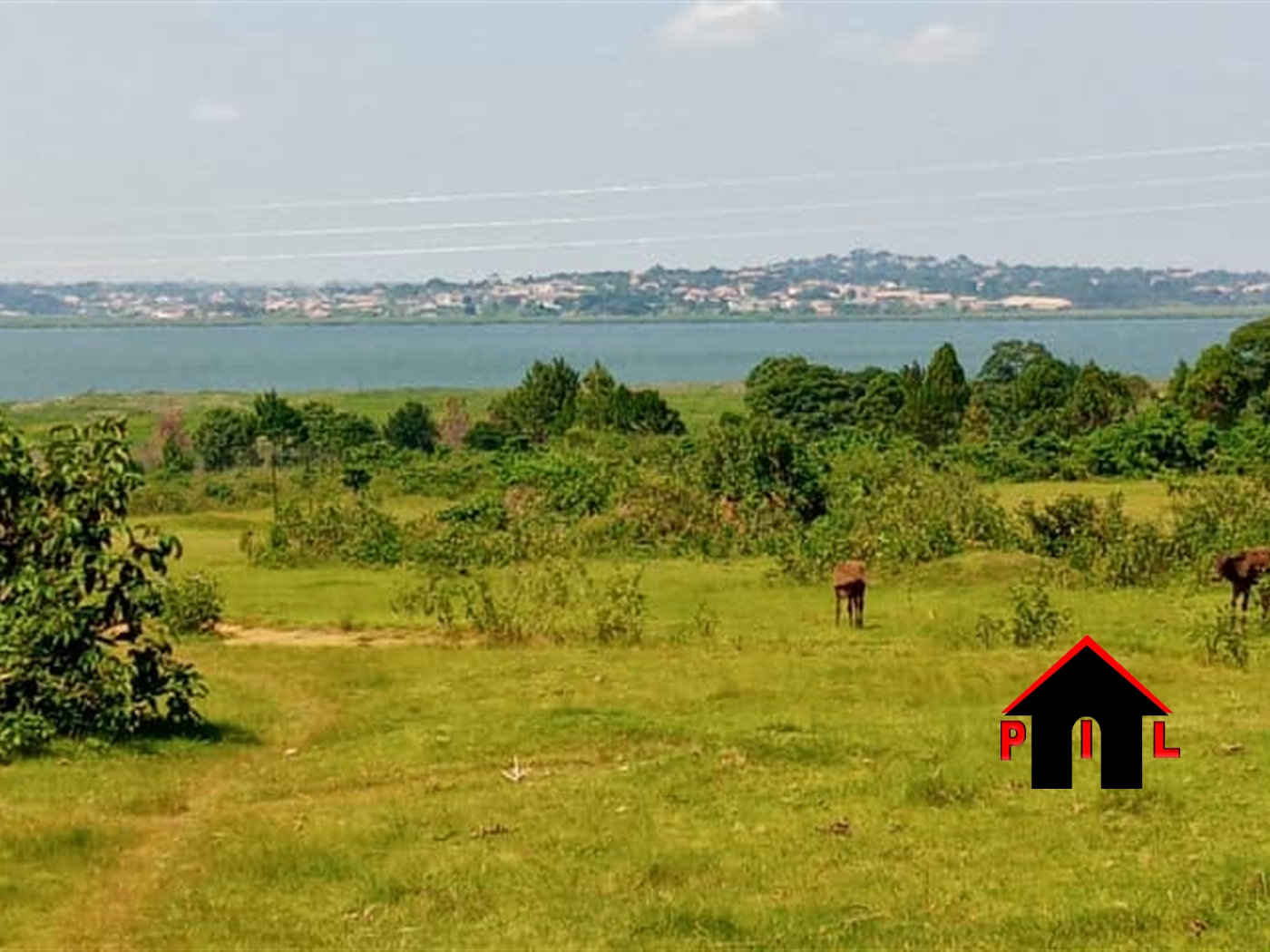 Residential Land for sale in Kasanjje Wakiso