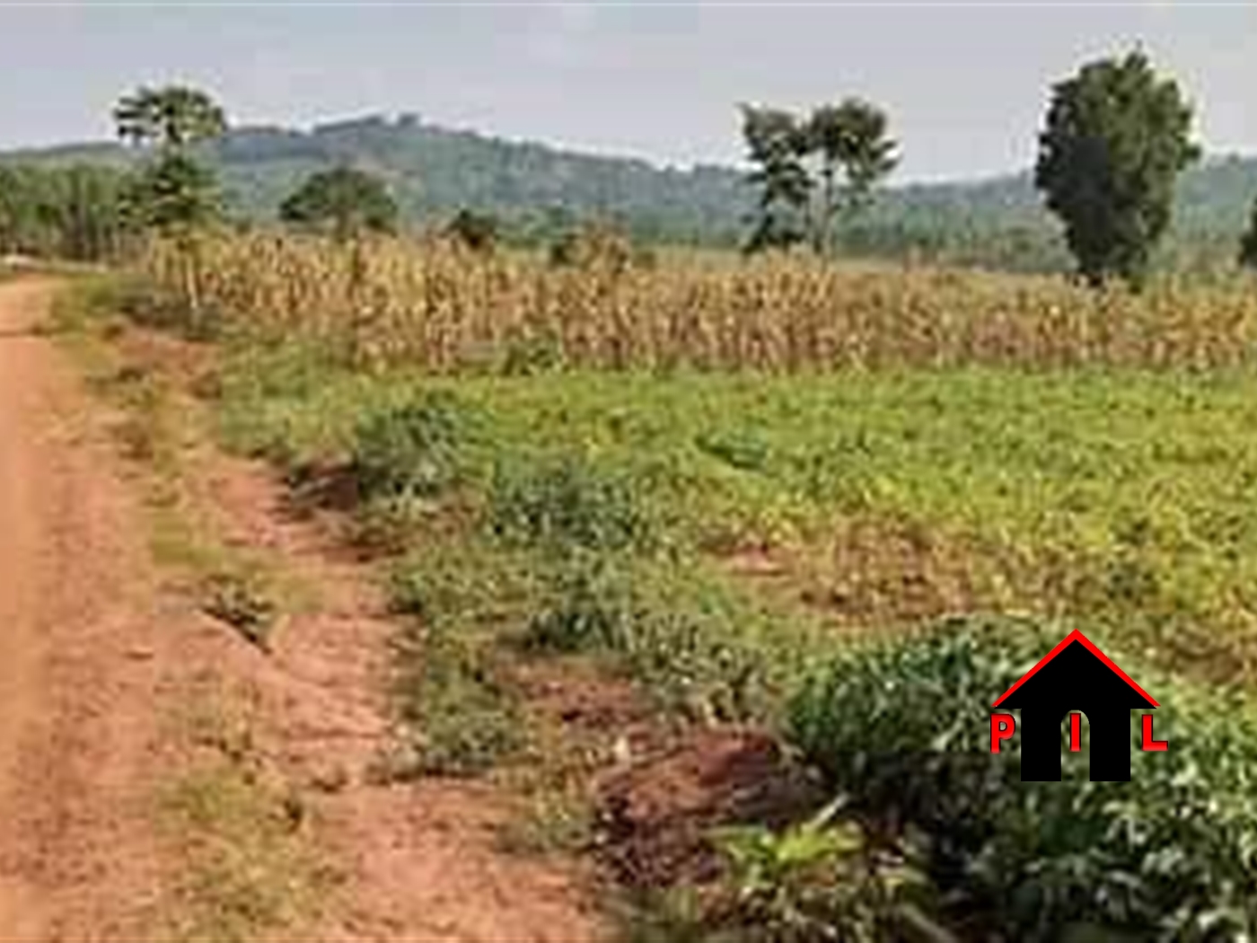 Agricultural Land for sale in Maya Wakiso