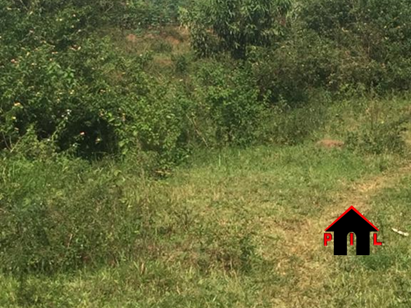 Agricultural Land for sale in Ntenjjeru Mukono