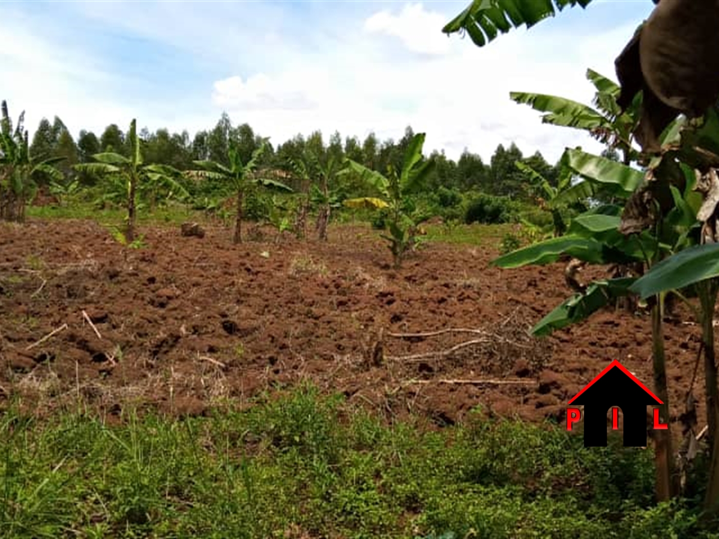 Agricultural Land for sale in Kamila Luweero