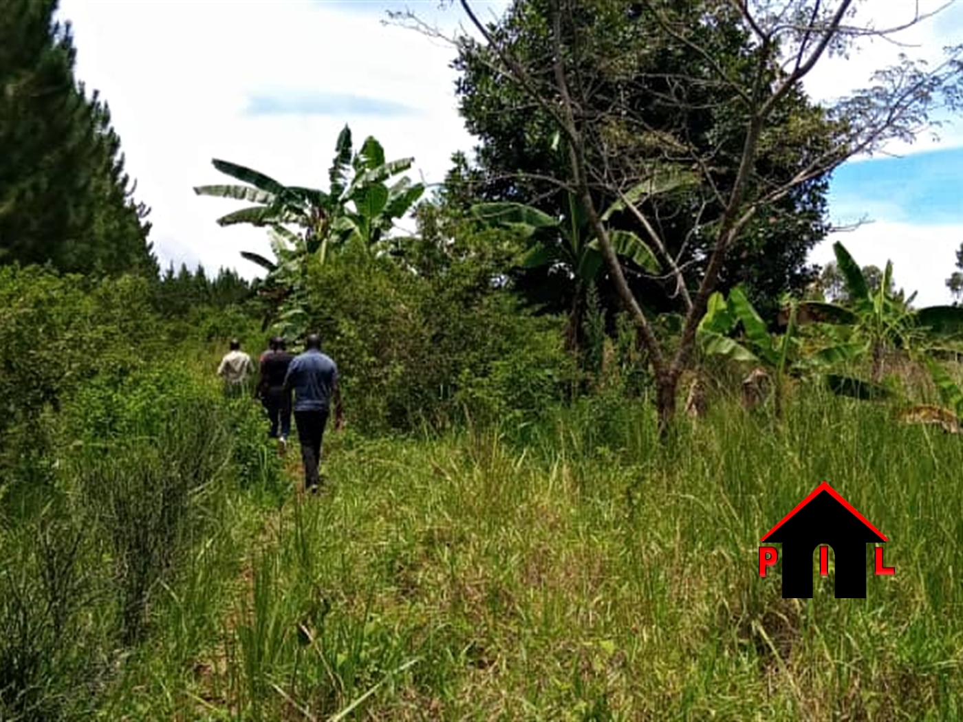 Agricultural Land for sale in Kamila Luweero