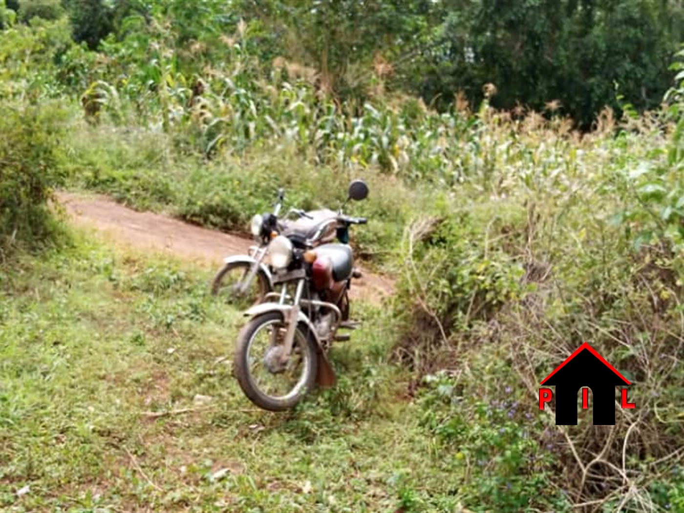 Agricultural Land for sale in Kisoga Kayunga
