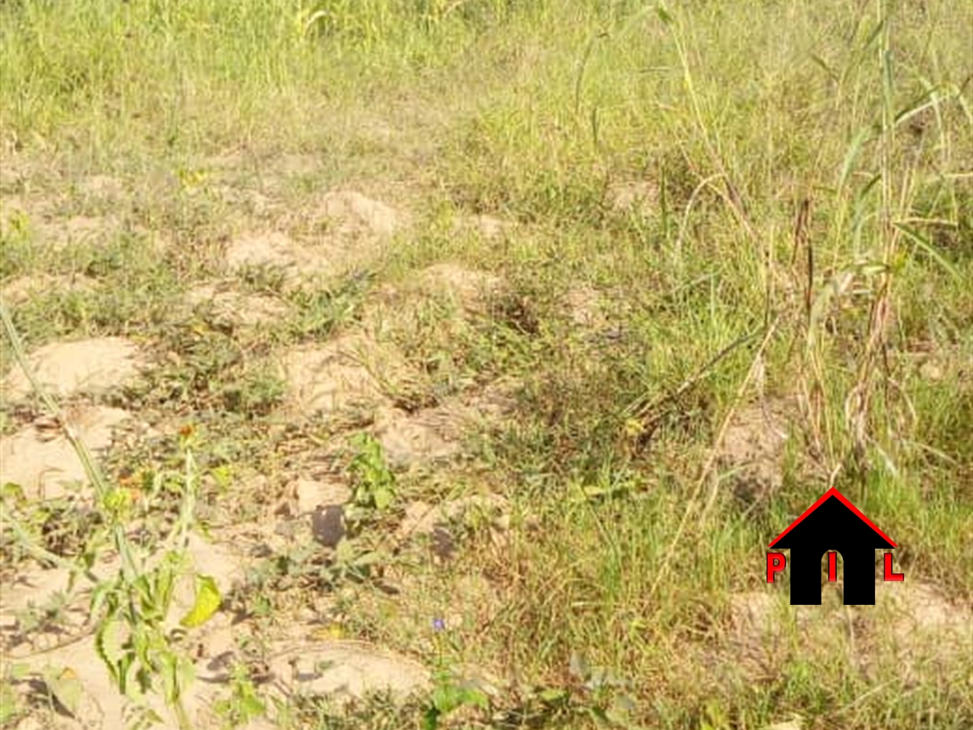 Residential Land for sale in Kungu Mpigi