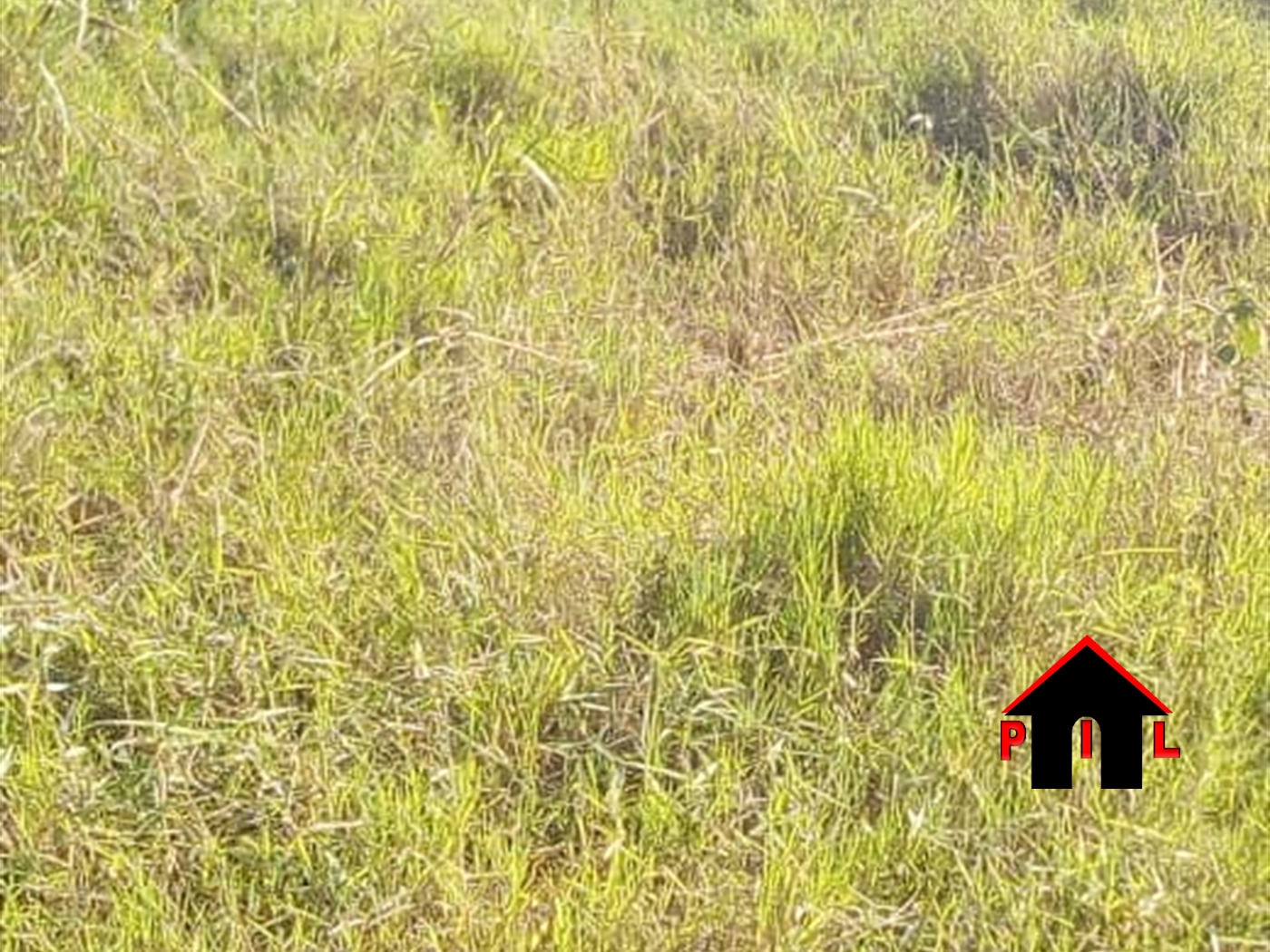 Residential Land for sale in Kungu Mpigi