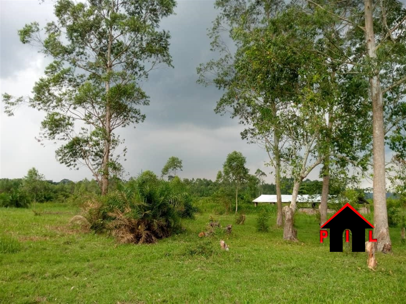 Agricultural Land for sale in Biika Wakiso