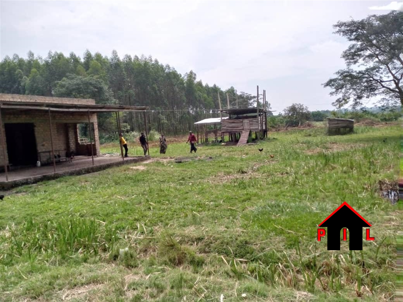 Agricultural Land for sale in Biika Wakiso