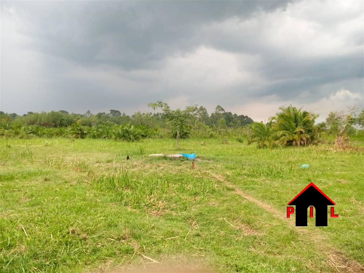 Agricultural Land for sale in Biika Wakiso