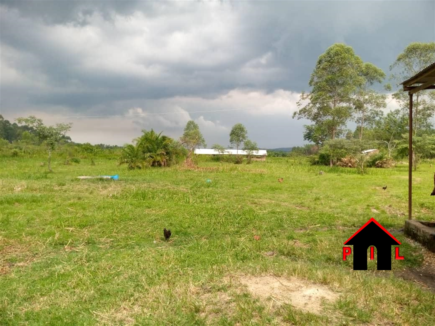 Agricultural Land for sale in Biika Wakiso