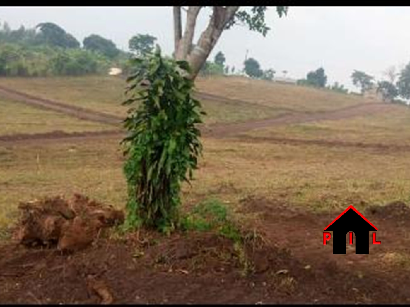 Agricultural Land for sale in Gobelo Wakiso