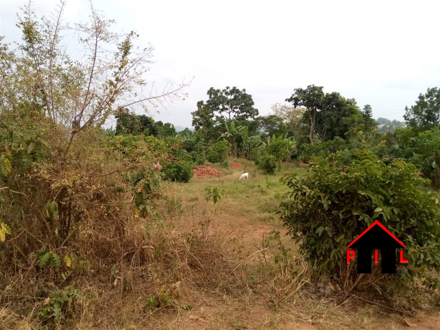 Agricultural Land for sale in Kyetume Mukono