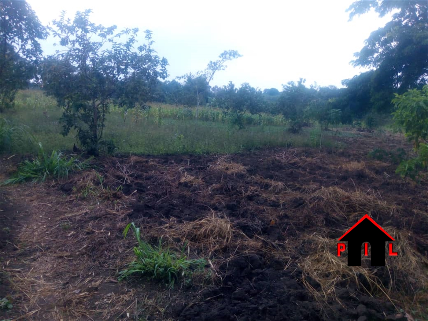 Agricultural Land for sale in Miseebe Mityana
