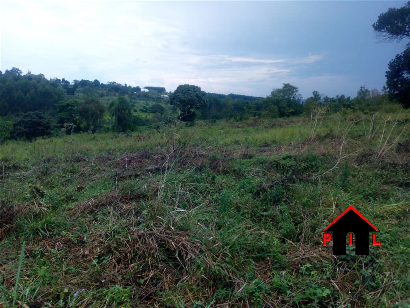 Agricultural Land for sale in Miseebe Mityana