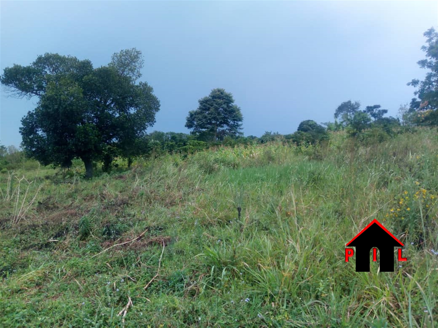 Agricultural Land for sale in Miseebe Mityana