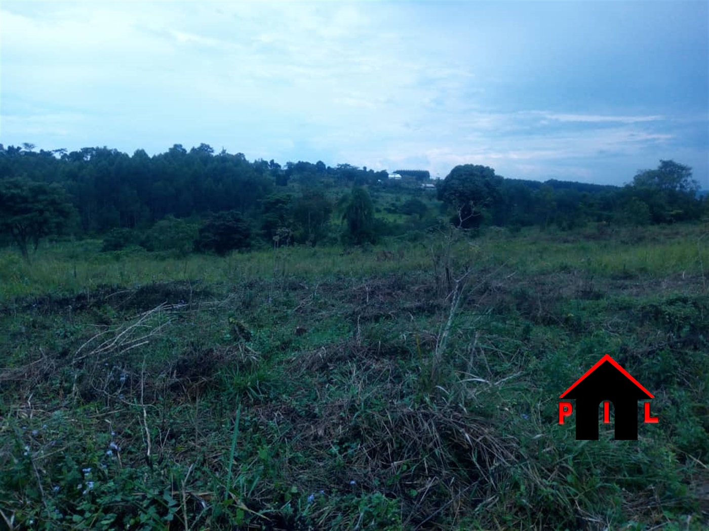 Agricultural Land for sale in Miseebe Mityana