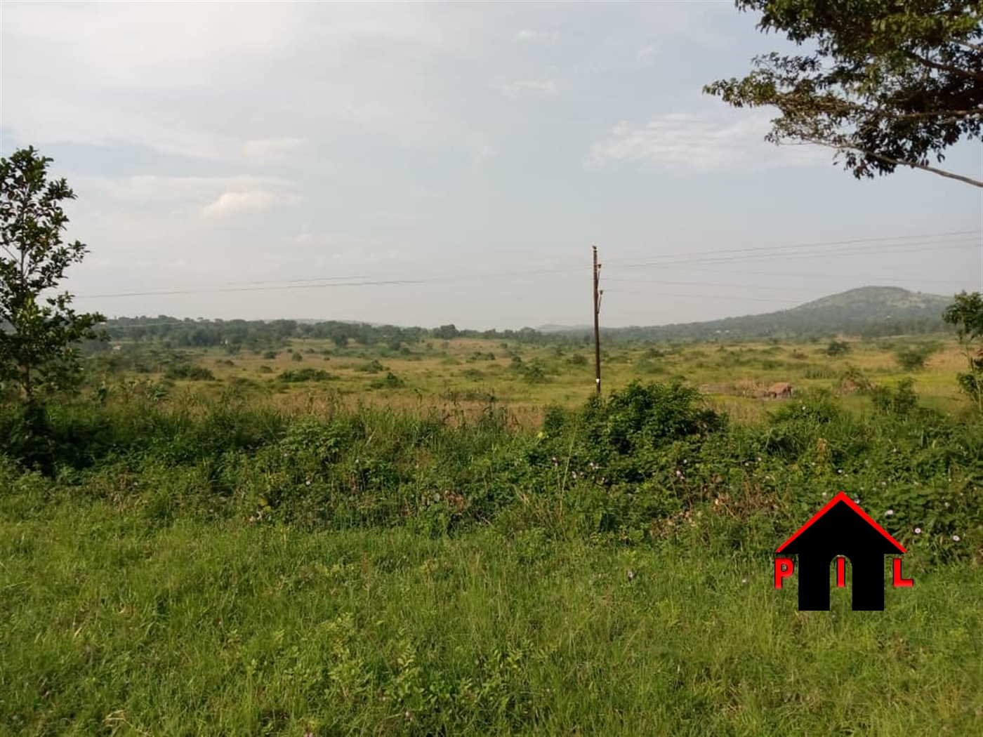 Agricultural Land for sale in Busunjju Mityana