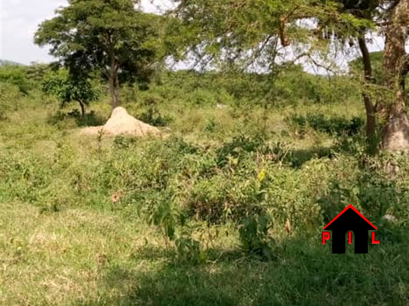 Agricultural Land for sale in Nkokonjeru Mukono