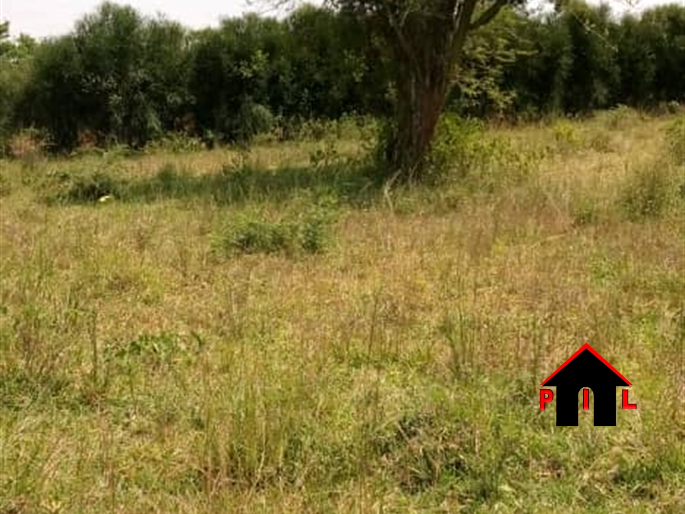 Agricultural Land for sale in Nkokonjeru Mukono