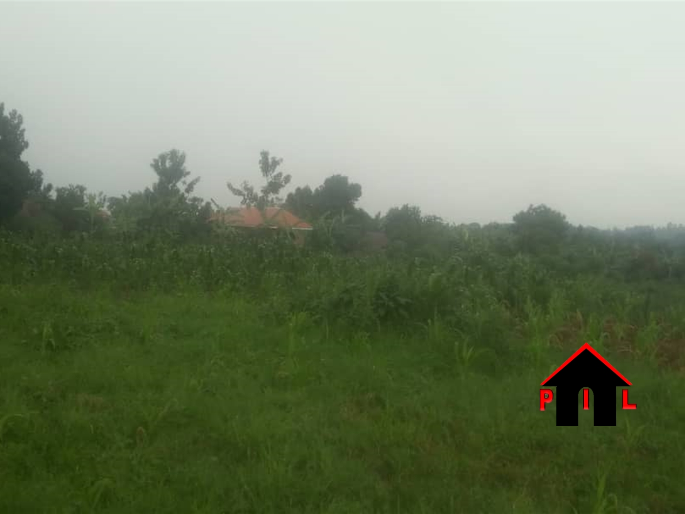 Agricultural Land for sale in Nkokonjeru Mukono