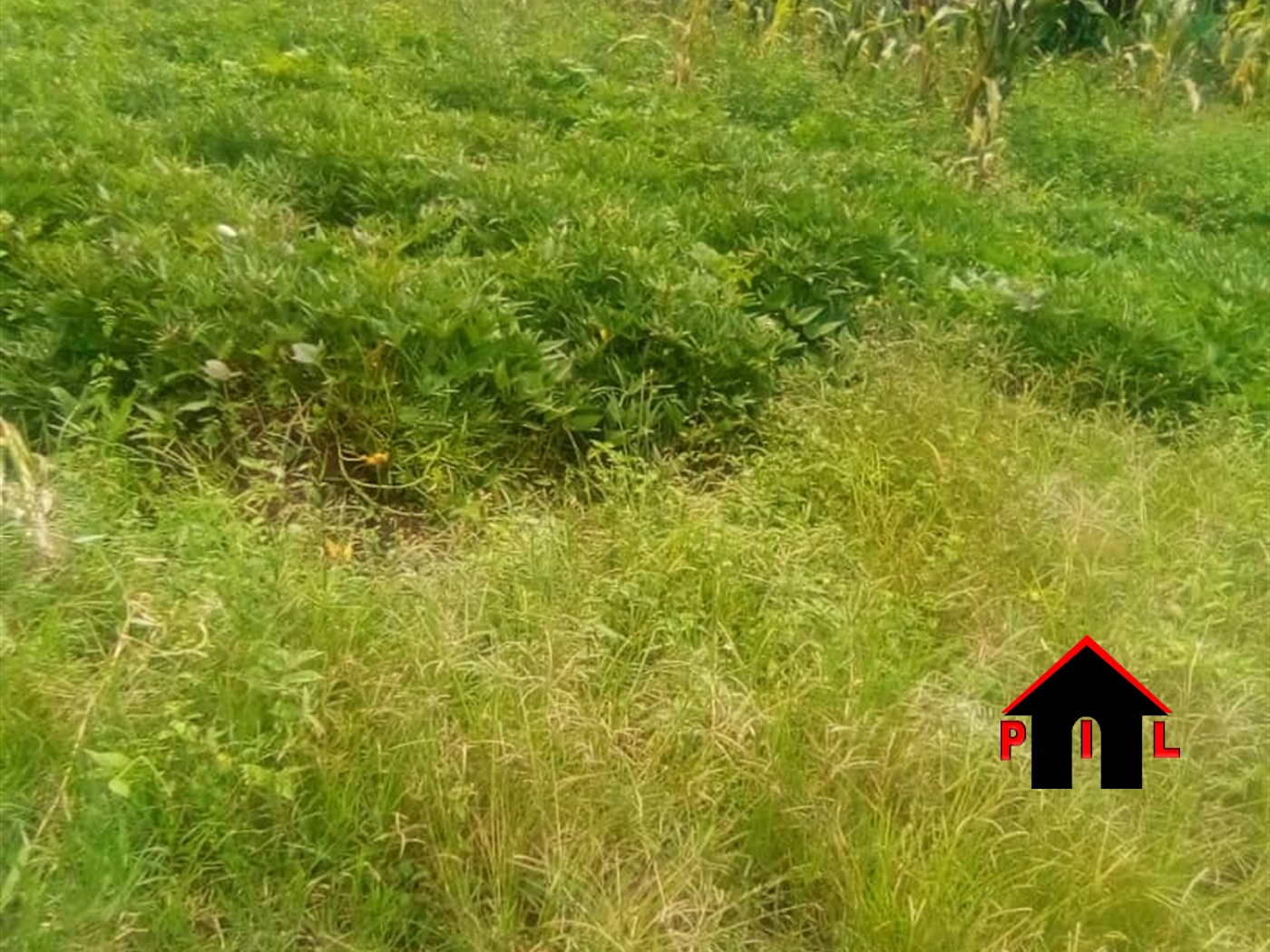 Agricultural Land for sale in Kisoga Mukono