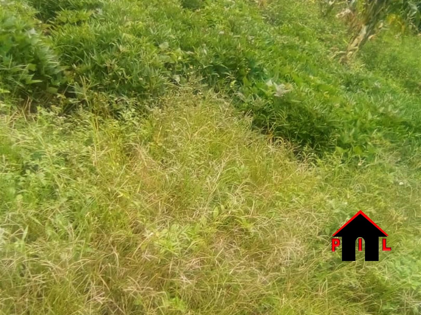 Agricultural Land for sale in Kisoga Mukono