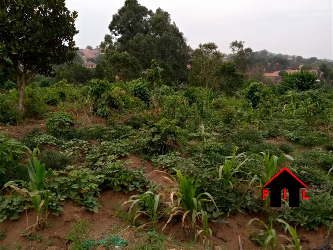 Agricultural Land for sale in Buyikwe Mukono