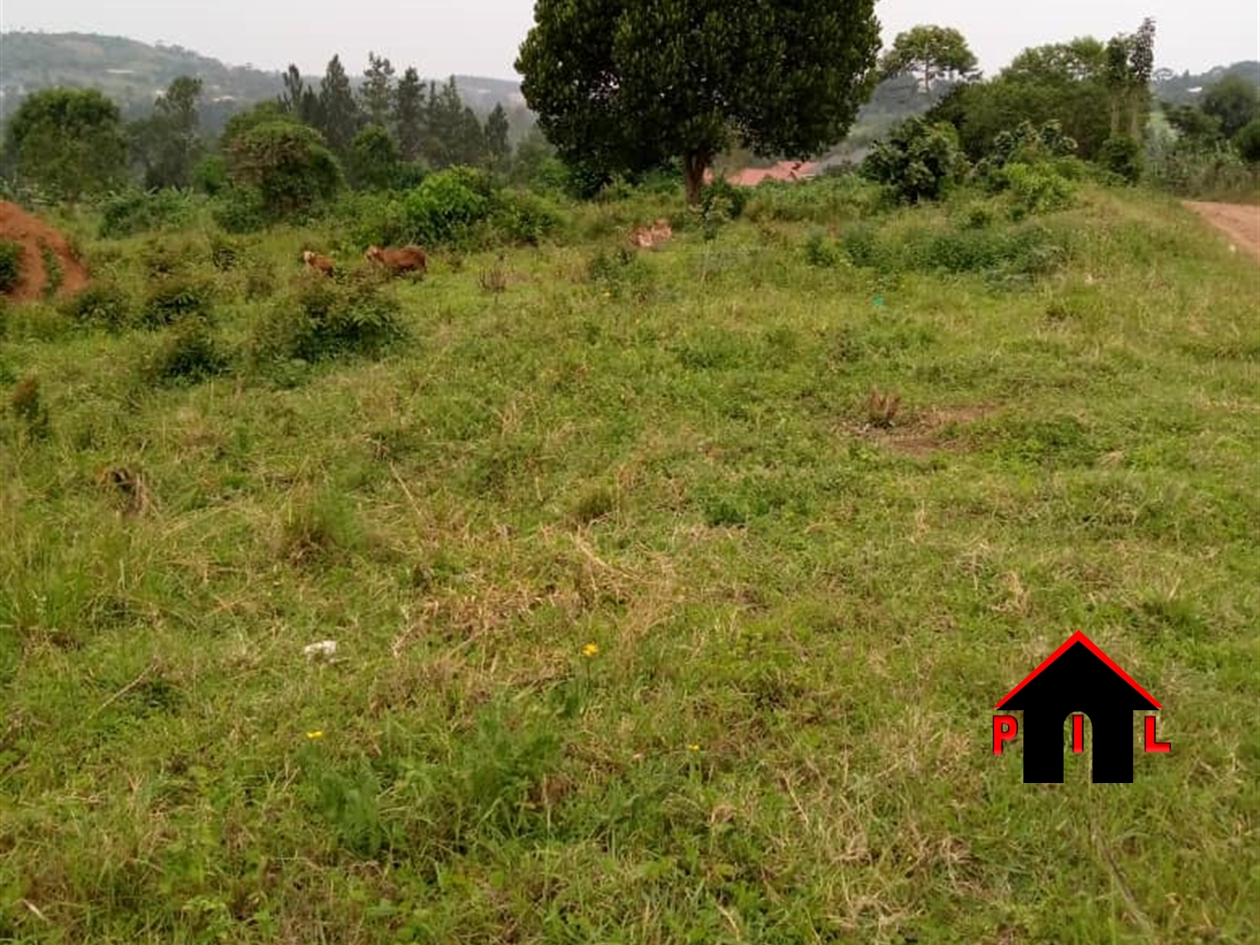 Agricultural Land for sale in Buyikwe Mukono