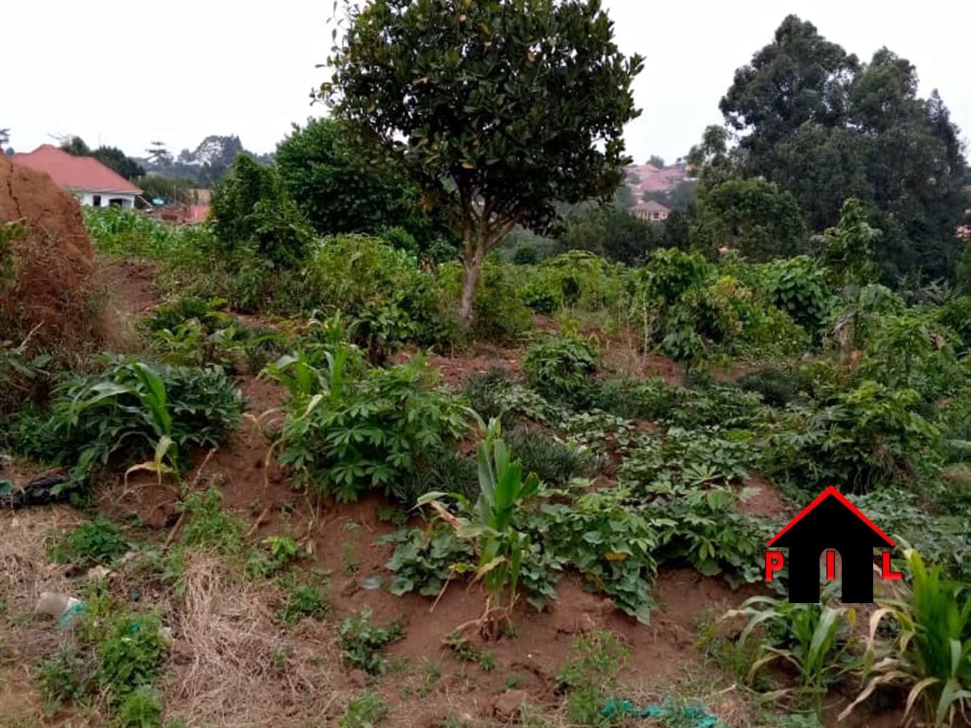 Agricultural Land for sale in Buyikwe Mukono