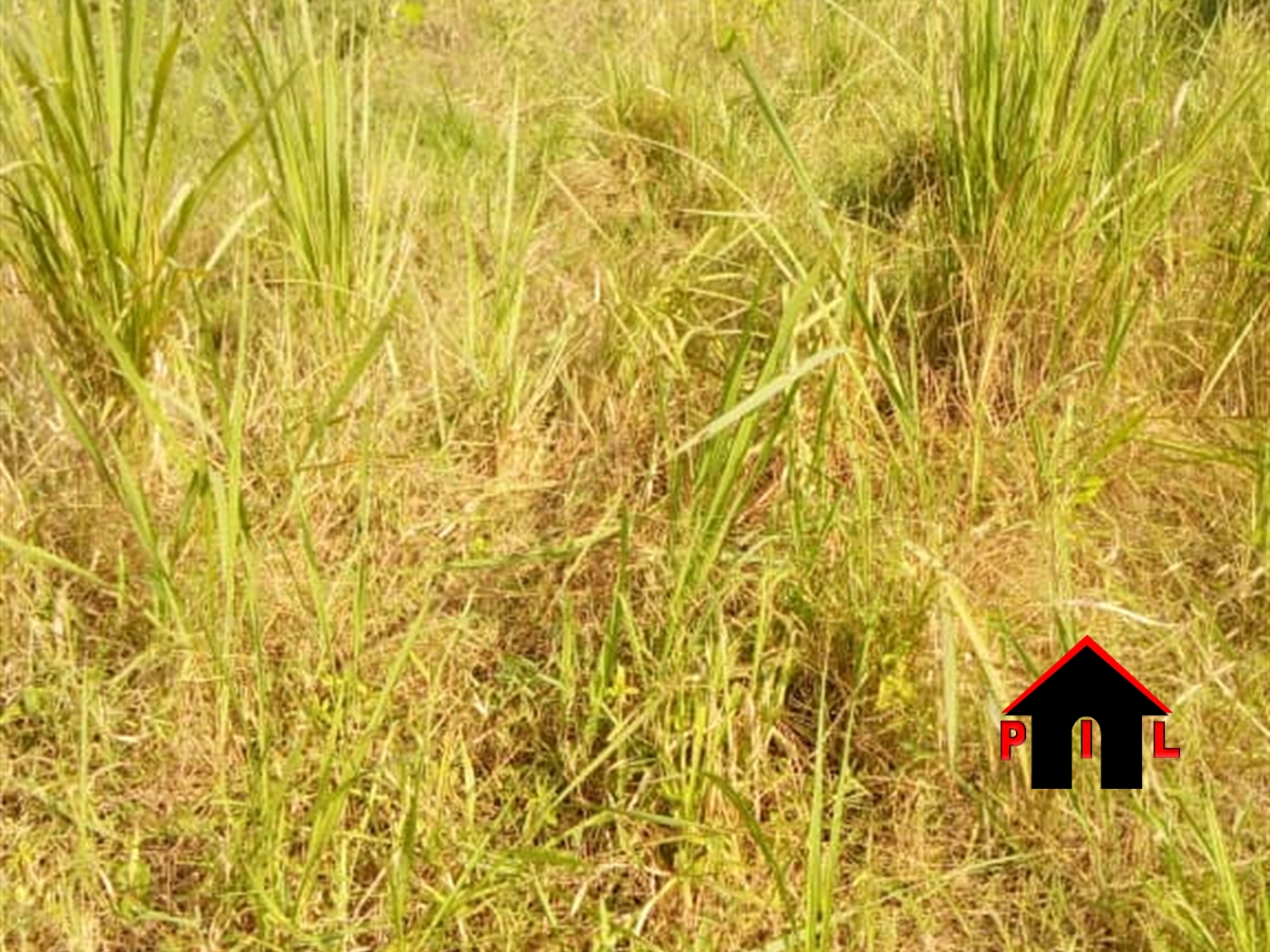 Residential Land for sale in Kungu Wakiso