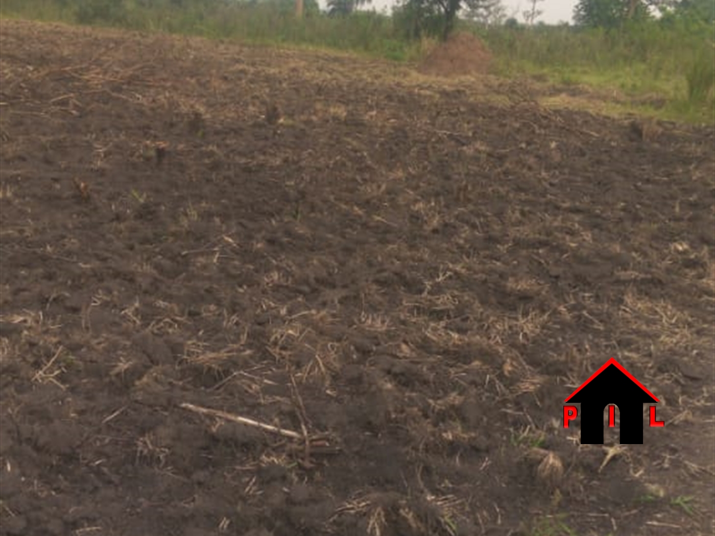 Agricultural Land for sale in Mbilizi Nakaseke