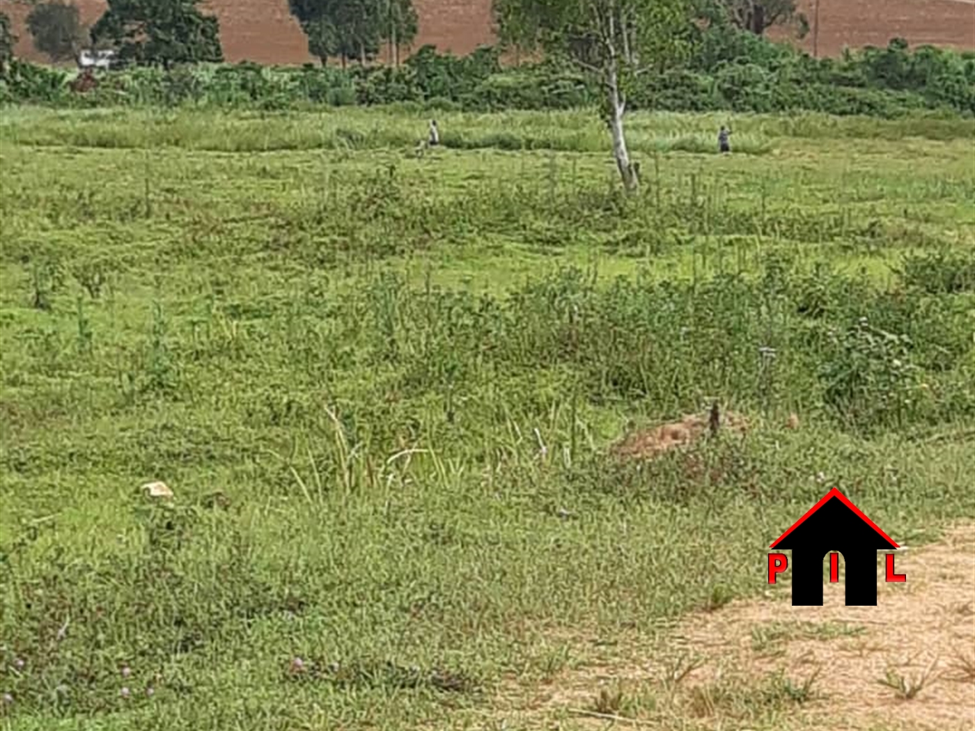 Agricultural Land for sale in Nama Mukono